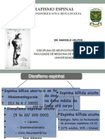 Aula Disrafismo Fisio FMRP-USP Março 2016.compressed