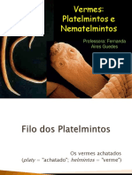 Aula Completa Reino Animal - Platelmintos e Nematelmintos