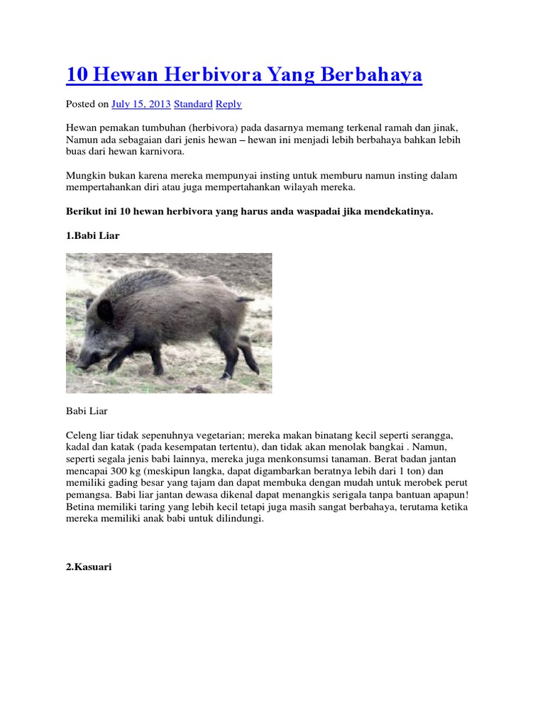 10 Hewan Herbivora Yang 10 Hewan Herbivora Yang