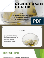 Katabolisme Lipid