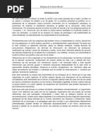 enf (2)