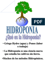 Hidroponia