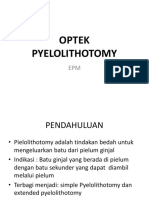 Pyelolithotomy Epm