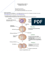 MITOSIS DAN MEIOSIS