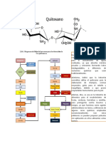 Bioprocesos Malas Madres