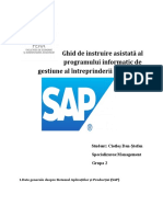 Ghid de Instruire Asistată Al Programului Informatic de Gestiune Al Întreprinderii SAP