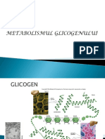 Metabolism GLICOGEN