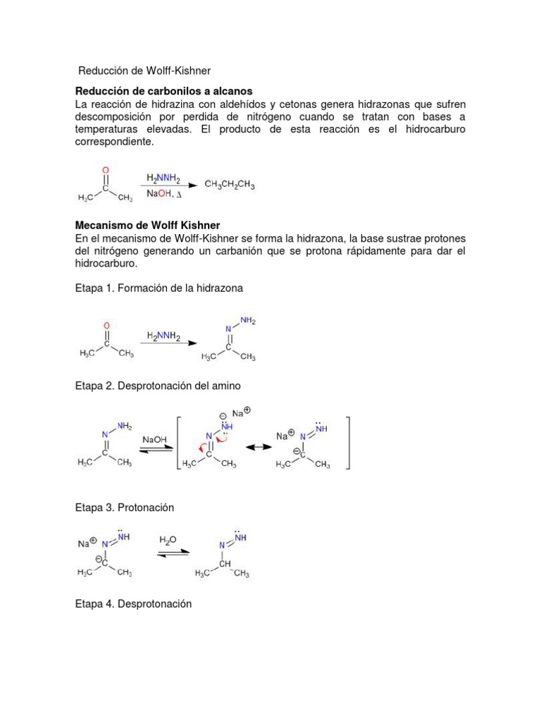Reduccion de Wolff-Kishner | PDF