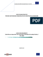 Raport Cod Bune Practici PDF