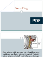 PR 1 Nervul Vag