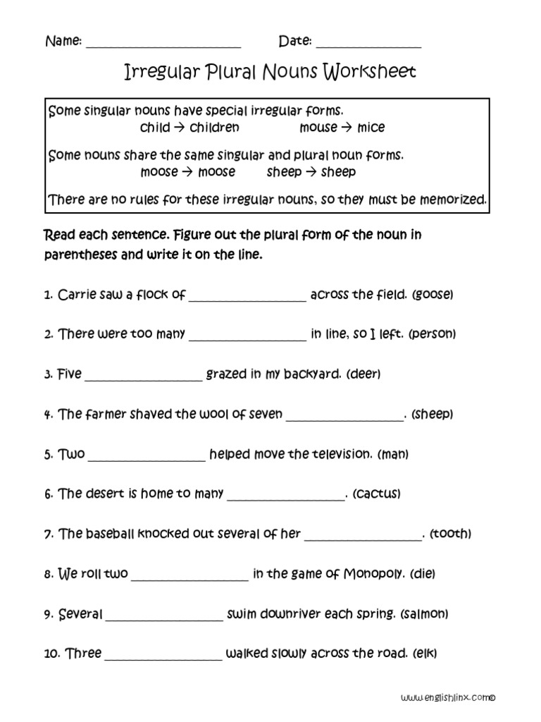 irregular plural nouns worksheet pdf