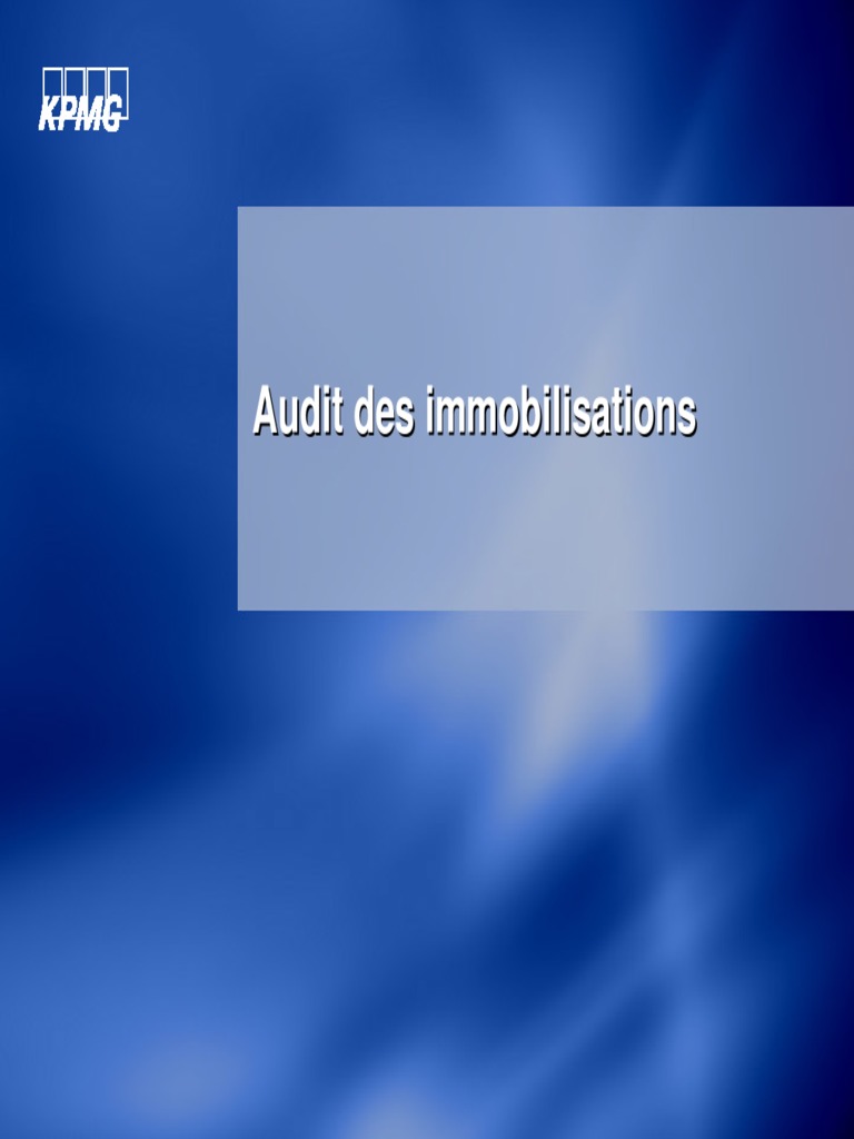 8[1]. Audit des immobilisations.pdf | Immobilisations | Dépréciation