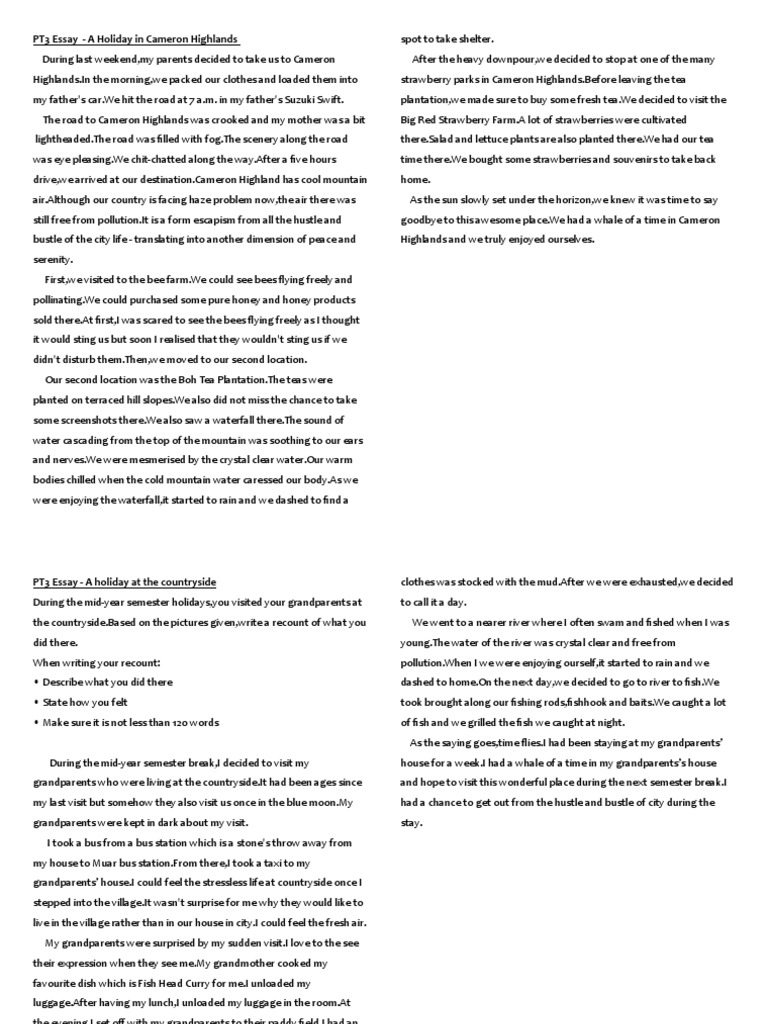 Lifestyle vs unlifestyle essay picture