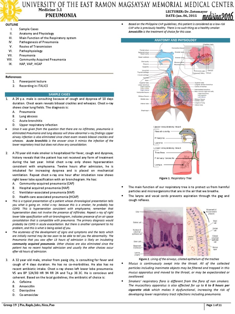 Pneumonia Overview and Case Studies | PDF | Pneumonia | Respiratory Tract