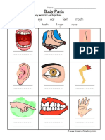 Body Parts Worksheet 4