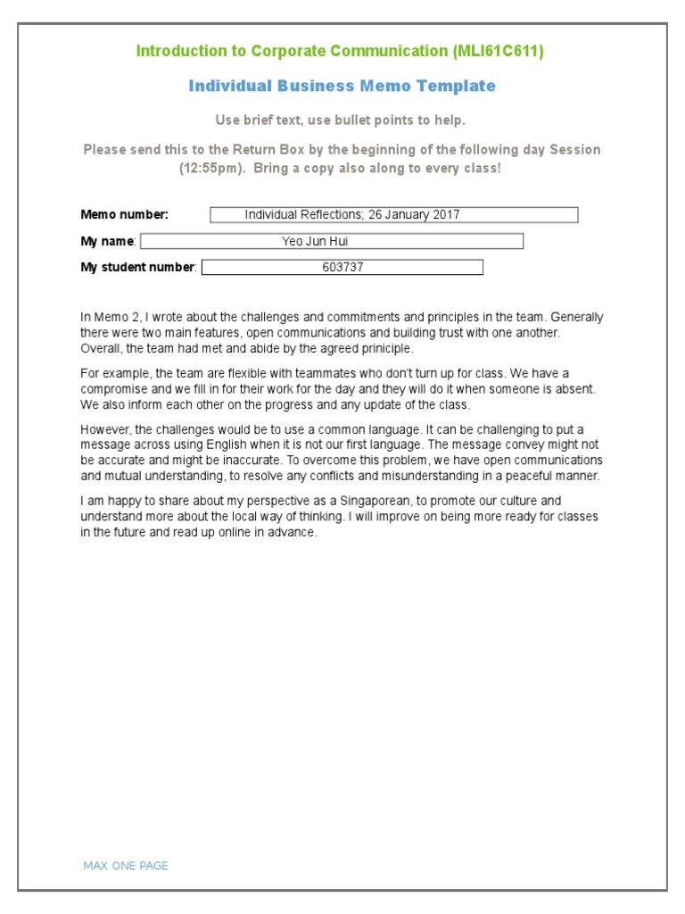 Individual Business Memo Template: Introduction To Corporate ...