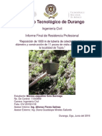 Informe Residencia Profesional Final Conduccion Agua