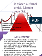 Planul de Afaceri - f.e. Marabu Events s.r.l
