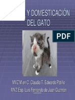 Origen y Domestiacion Del Gato