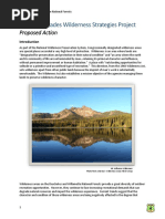 Central Cascades Wilderness Strategies Project