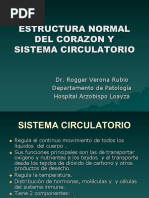 1 Estructura Normal Del Corazon y Sistema Circulatorio
