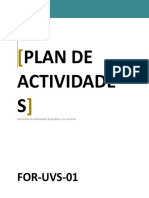 Plan Actividades 