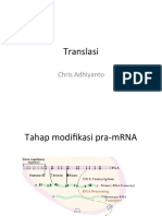 Translasi