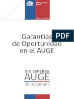GARANTIAS AUGE.pdf
