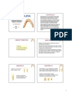 Dientes.pdf