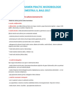 Subiecte Examen Practic Microbiologie Semestrul Ii