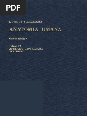 Masserelle di equilibratura zinco pesi colpo PESI ACCIAIO CERCHI 5-50g per 25 pezzi