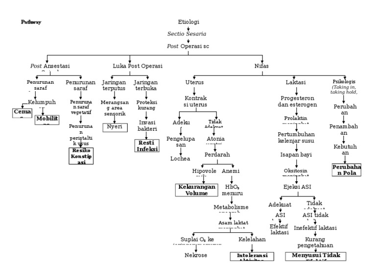 Pathway Infeksi Pasca Operasi SC | PDF