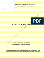 Audit intern.pdf