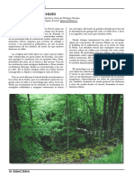 Magia de Los Bosques PDF