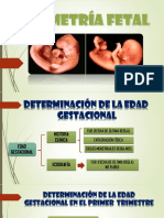 Biometría Fetal