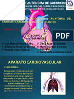 Fisiologia y Anatomia Del Aparato Cardiovascular