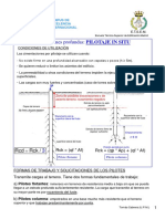 L11-1 Pilotes in Situ