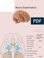 cranialnerveexamination-111106073102-phpapp02