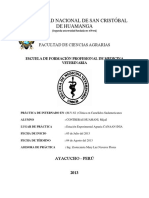 Informe de Camelidos Sudamericanoss Inia