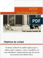 Tema 4 Com Intercultural 14