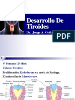 8 Embrio Tiroides Jaoc