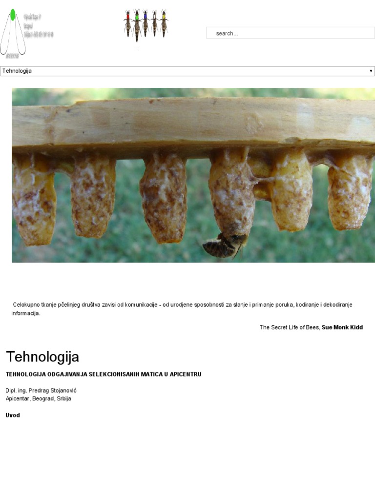Tehnologija