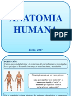 Aparato Locomotor