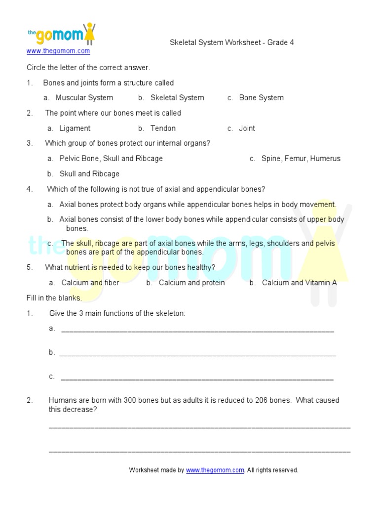 Skeletal-System-Grade-4.pdf | Skeleton | Bone