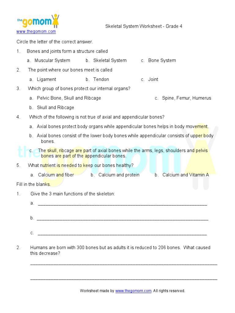 Skeletal System Grade 22  PDF  Skeleton  Bone Inside Appendicular Skeleton Worksheet Answers