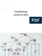 LO Patofis Leukemia