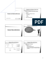 Exame-Neurodinamico SR2-NME4!14!15 (Modo de Compatibilidade)