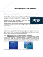 Animale salbatice si domestice.pdf