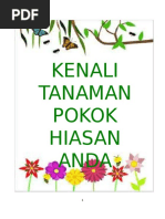 Kenali Tanaman Pokok Hiasan Anda