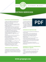 Nuestros Servicios Gss